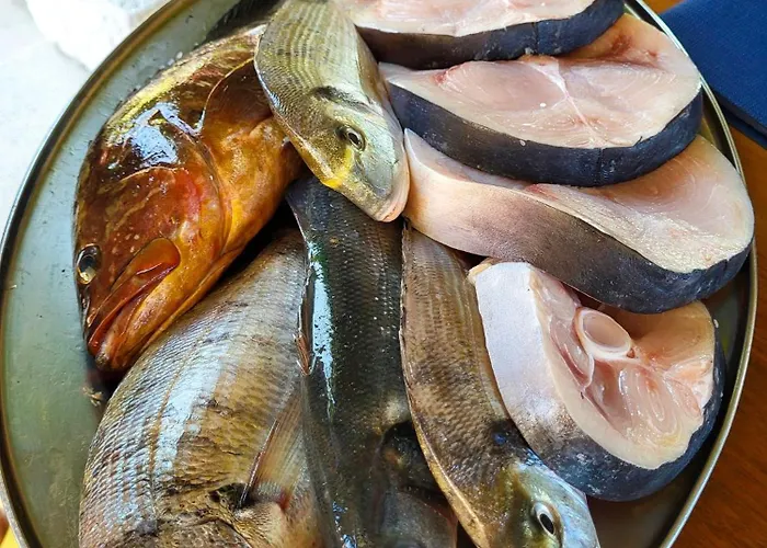 Mala Kuca بيت للعطل Hodilje